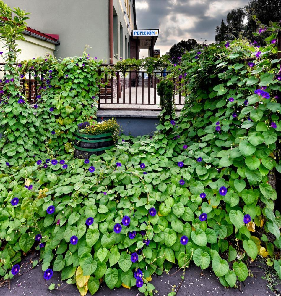Penzion Central Zvolen Exterior foto